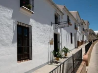 Almohalla 51 
