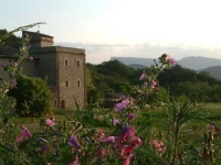 Cel (Centre Ecologic Ilemena) Hostel 