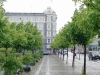 Jorgensen 2*