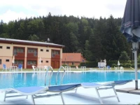 Bazant 3*