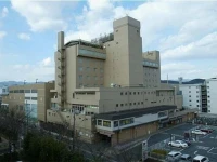 Holiday Inn hotel Kyoto 3*
