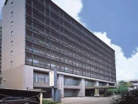 Hearton 3*