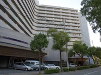 Pearl City Kobe Hotel 4*