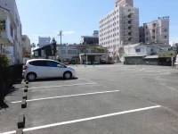 Miyazaki Daiichi Hotel 4*