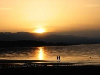 Shorewater Resort 
