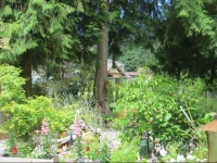 Tea Cozy Bed & Breakfast 