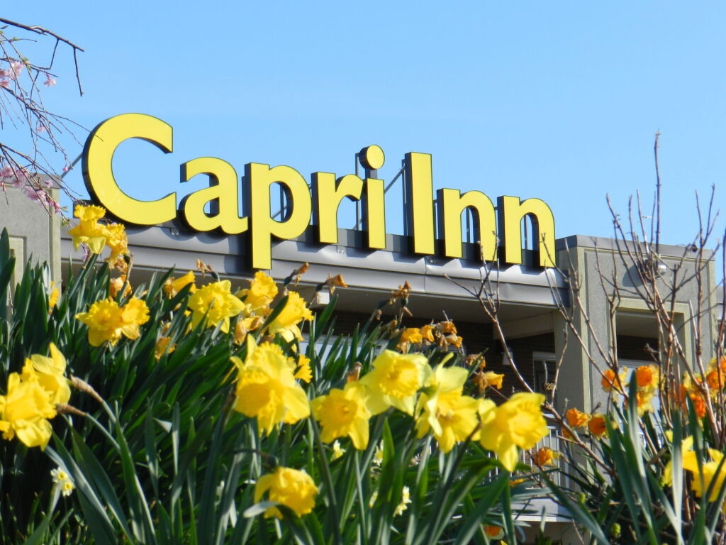 Capri Inn 2*