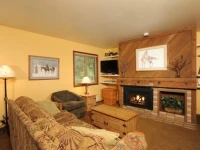 Forest Condominiums 3*