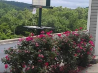 Rosebud Inn 