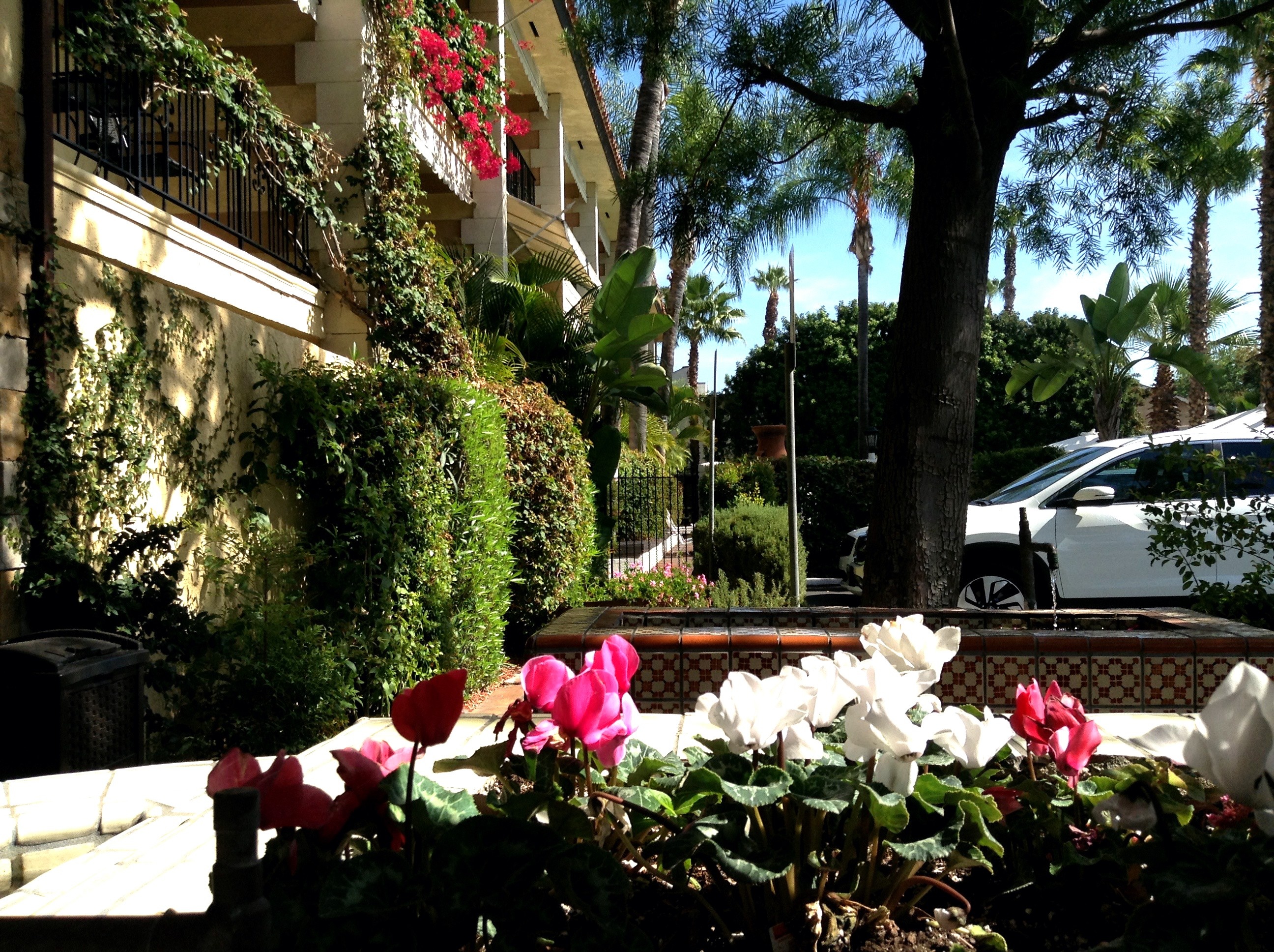 Pepper Tree Hotel Anaheim 3*