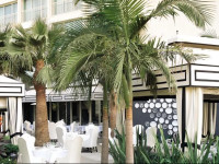 Viceroy Santa Monica