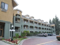 Oak Tree Inn 1*