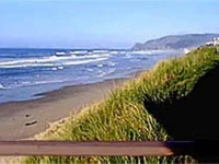 Seagull Beach Front Motel 