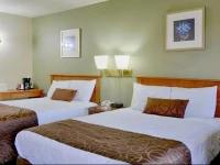 The Palms Motel 2*