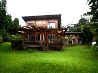 Hale Hapuu