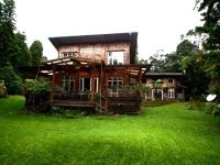 Hale Hapuu 
