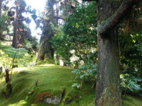 Volcano Country Cottages