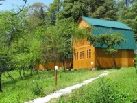 Kamarit / Камарит 