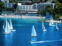 Vis 3*