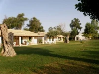 Messonghi Cottages  