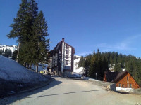 Lavina