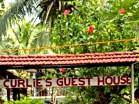 Curlies Guest House 2*