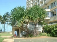 Regency Hotel San Juan 4*