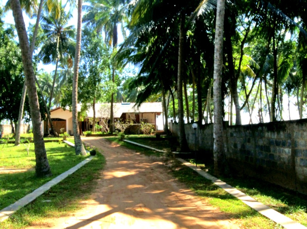 The Islander Beach Villa 3*