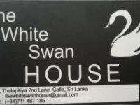 The White Swan House / The White Swan House 3* 3*