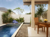 Villa Palm Leaf