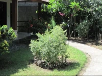 DGilian Bungalow 