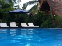 Lucys Garden Hotel 