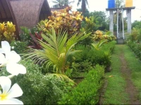 Kelapa Gading Bungalows 