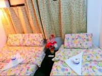 Safari Hotel Makassar / Safari Hotel 2*