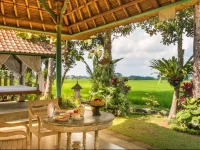 Villa Umasari Rice Terrace 