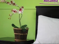 Hosanna Inn 