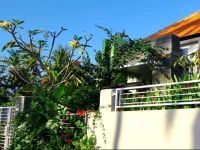 Saba Guest House 