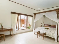 Villa Lotos Hidung Sanur / Villa Lotos 2*