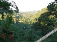 Pondok Bidadari 3*