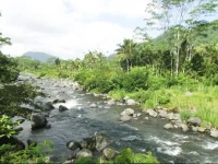 Darmada 