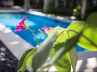 Villa Alu Lima 