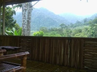 Batu Kapal Jungle Houses 