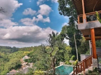 Bali Ubud Villas View 