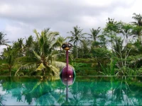 Villas Capung Sakti 