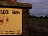 Pondok Buda