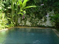 Villa Anggrek Ubud Bali 4*