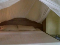 Arjana Bungalows 2 