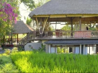 Prashanti Bali 