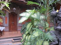 Indra Homestay 