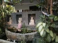 Alamanda Accomodation 